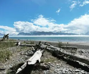 A beautiful beach of Kenai Alaska