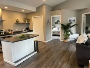 A black counter top with a plant