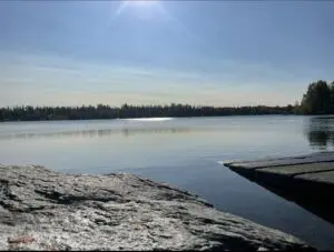 Beautiful lake with forest view