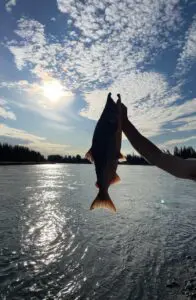 A person carrying a fish from the lake