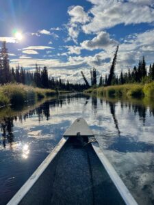 Beautiful boat on a lake with green trees